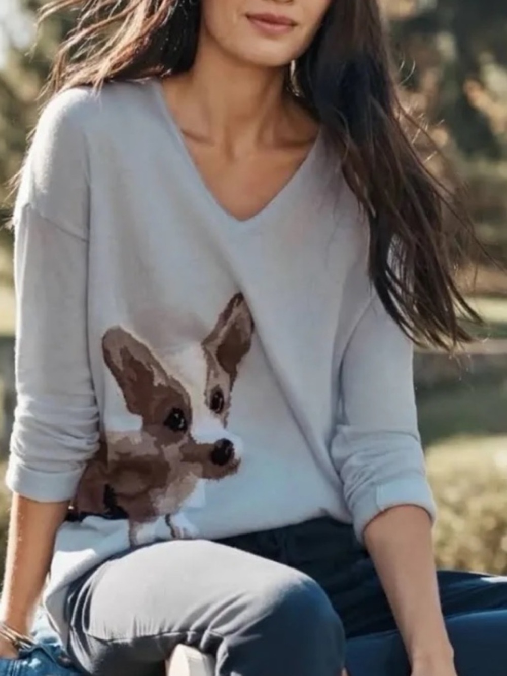 J.Jill Blue Lulu Corgi Dog Pullover V-Neckline Sweater, NWT, size M